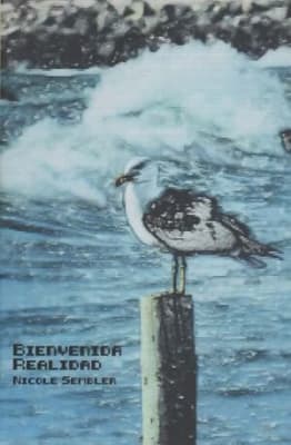 Bienvenida realidad