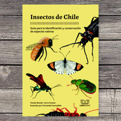 Insectos de Chile