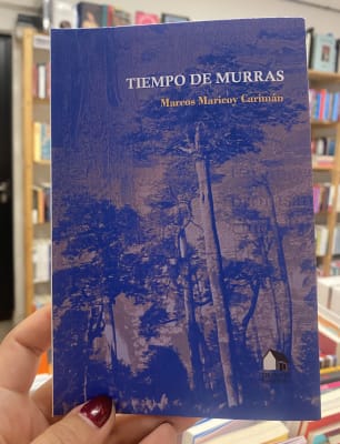 Tiempo de murras