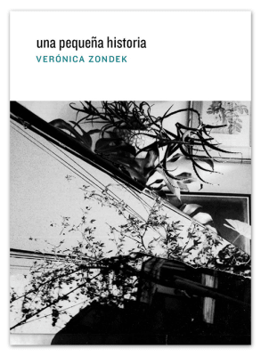 Una pequeña historia 