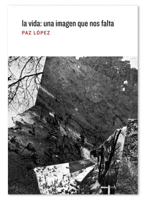 La vida, una imagen que nos falta 