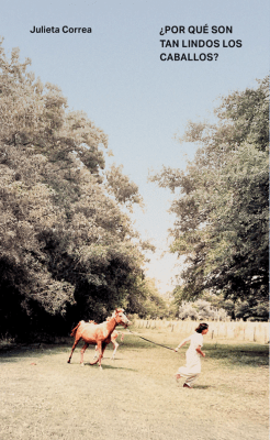 ¿Por qué son tan lindos los caballos?
