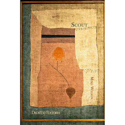 El scout Océano invisible