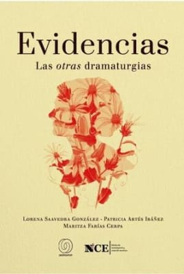 Evidencias