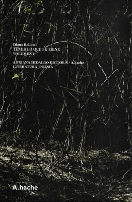 Tener lo que se tiene. Volumen 1 