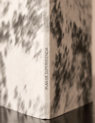 Plan de supervivencia 