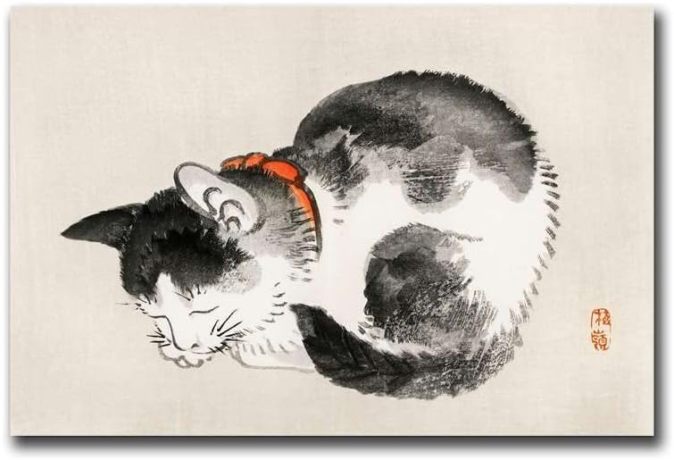 Gato durmiendo (Ilustración)1