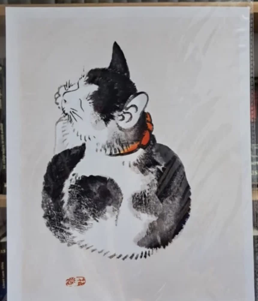 Gato durmiendo (Ilustración)2