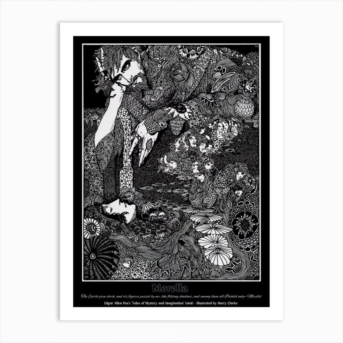 Clarke Morella (Ilustración)1