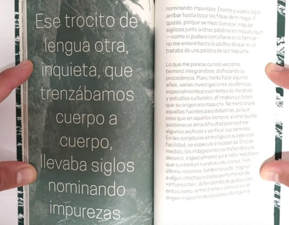 Sutura de las aguas2