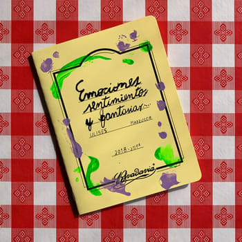 Emociones sentimientos fantasías1