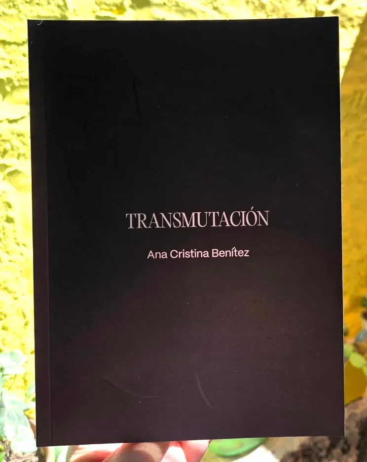 Transmutación1