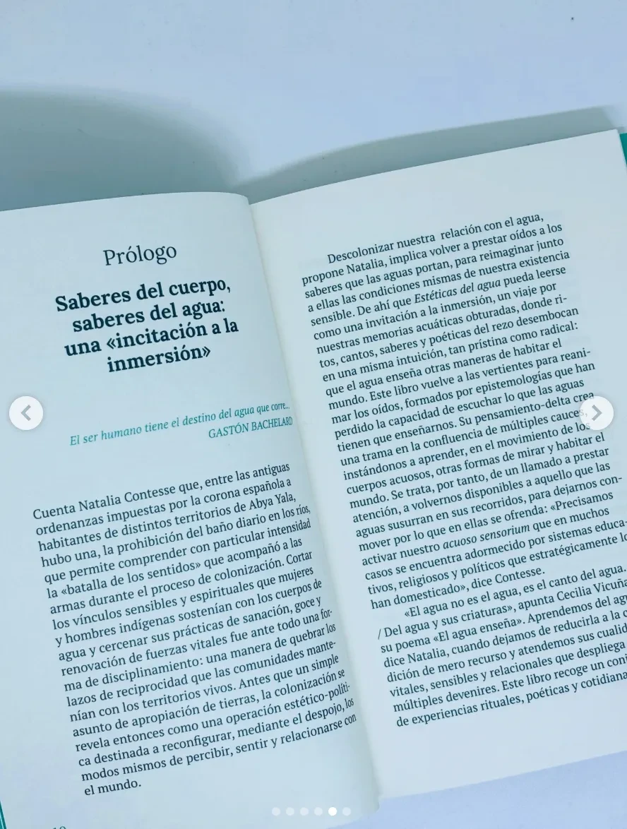 Estéticas del agua: imaginación y herencias2