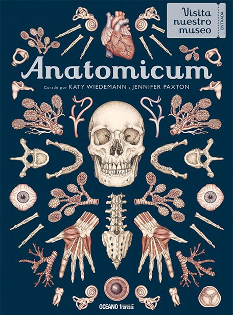 Anatomicum1