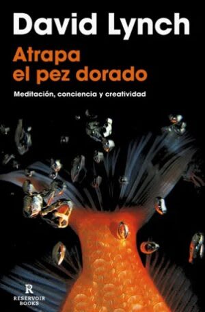 Atrapa el pez dorado1