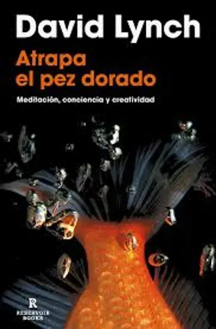 Atrapa el pez dorado2
