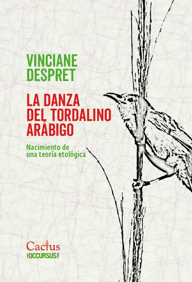La danza del tordalino Arábigo1