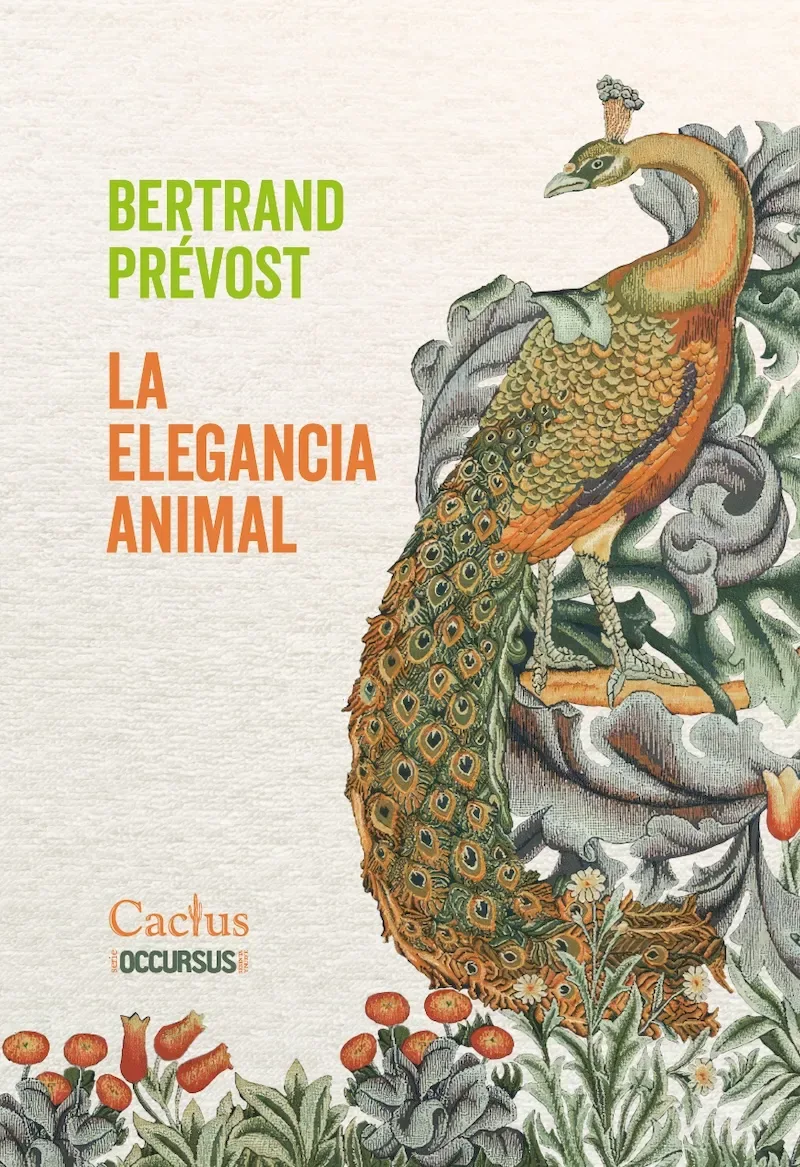 La elegancia animal1