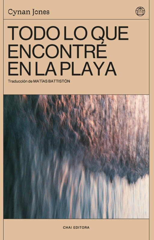 Todo lo que encontré en la playa1