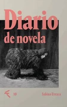 Diario de novela1