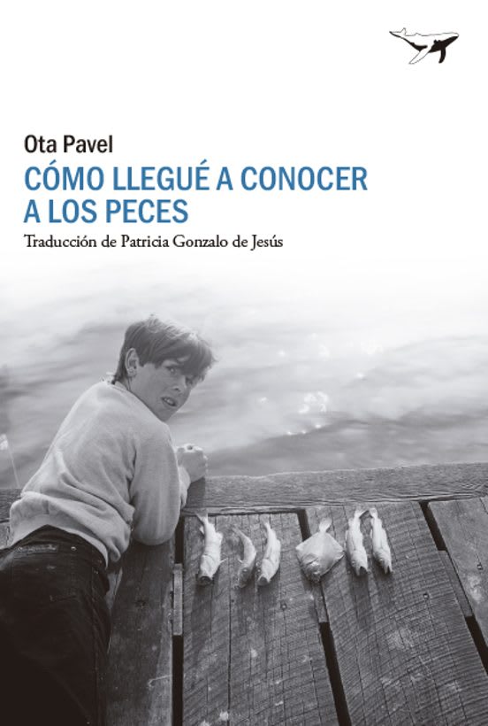 Cómo llegué a conocer a los peces1