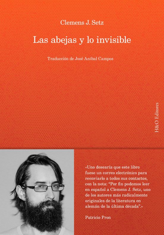 Las abejas y lo invisible1