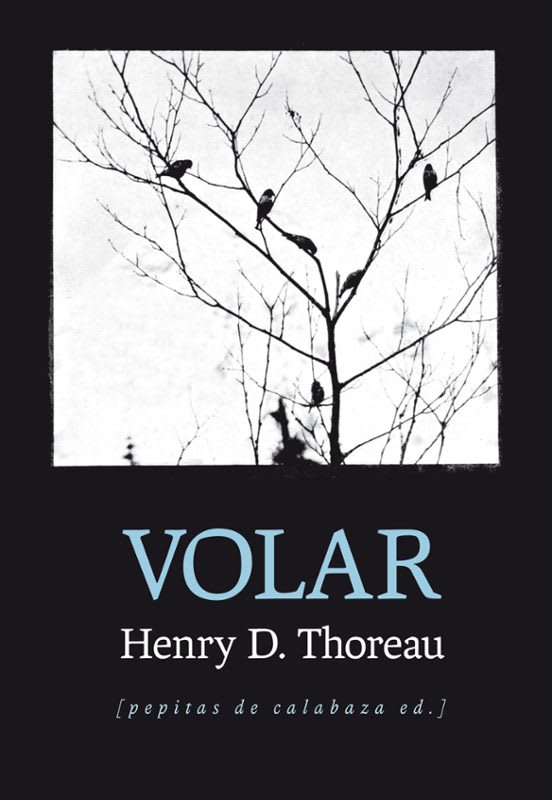 Volar2