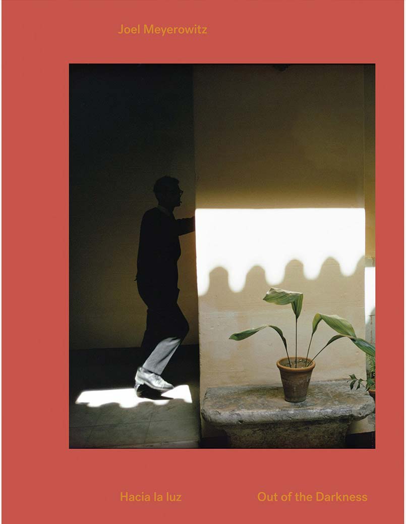 Hacia la luz1