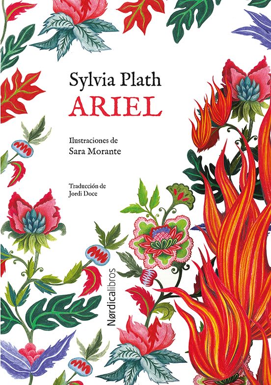Ariel1