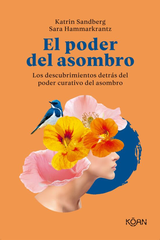 El poder del asombro1