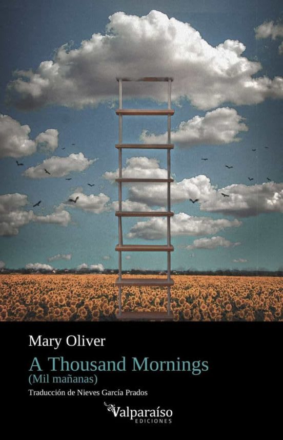 A thousand mornings1