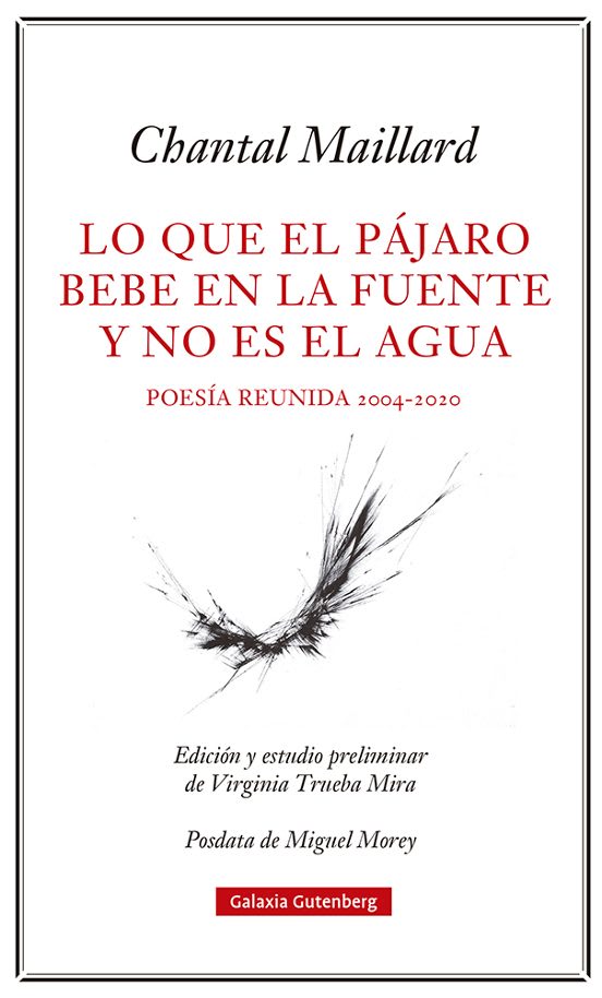 Lo que el pájaro bebe1