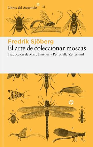 El arte coleccionar moscas1