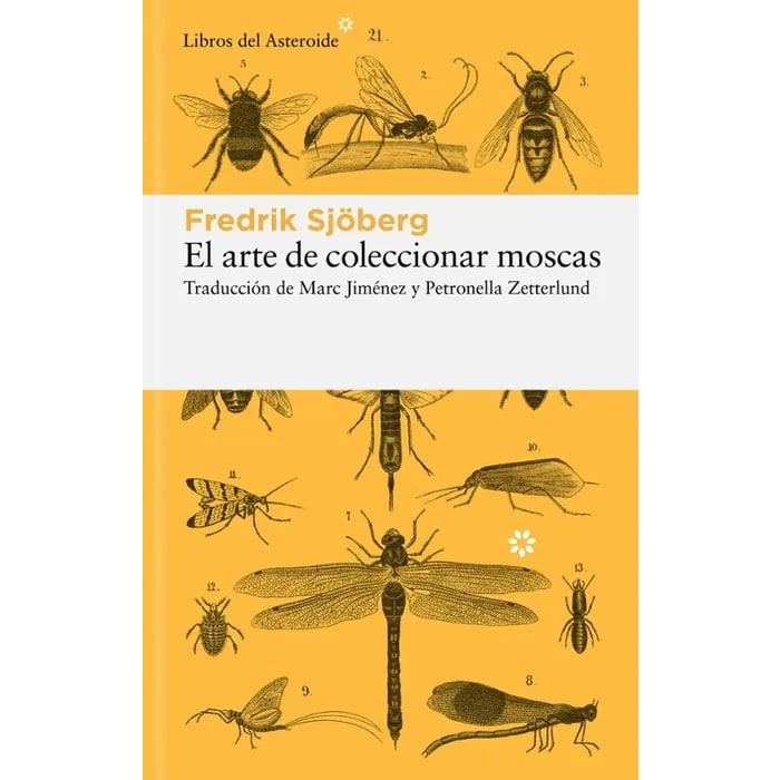El arte coleccionar moscas2