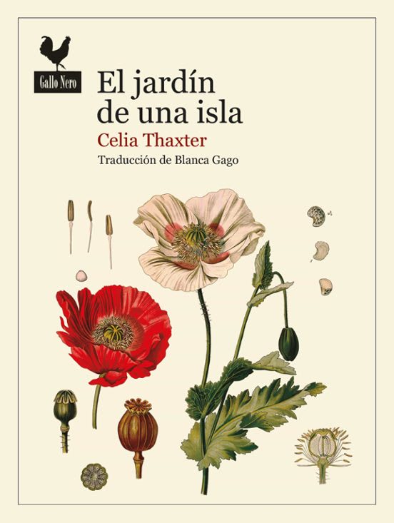 El jardín de una isla1