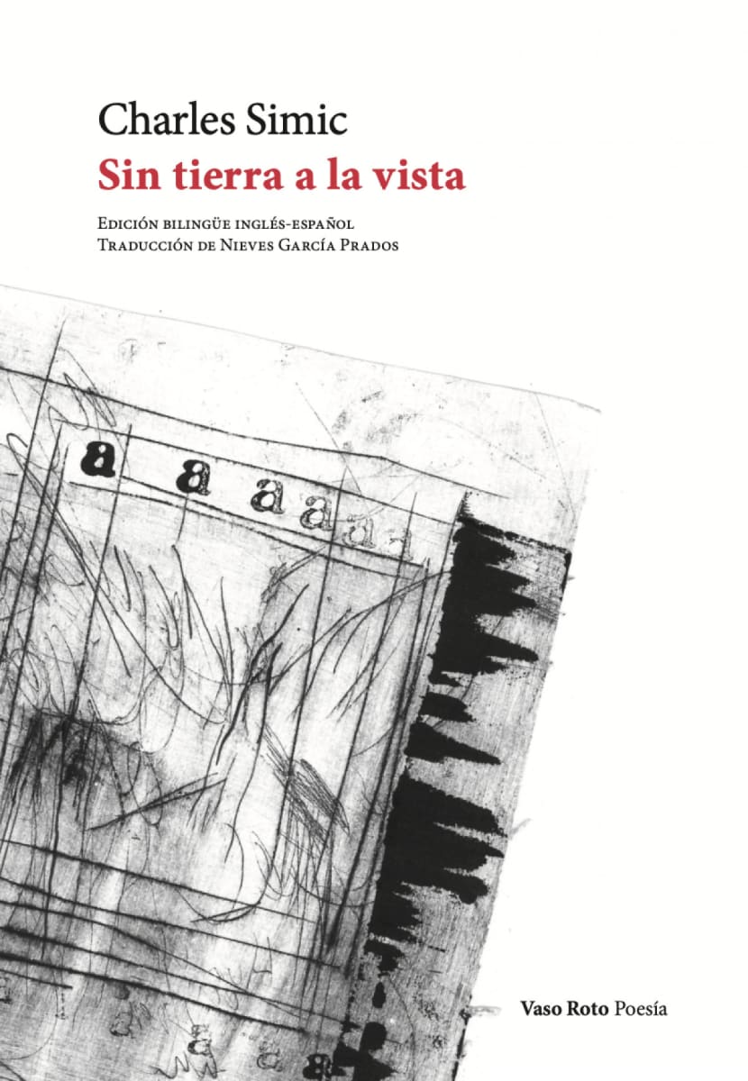 Sin tierra a la vista 2