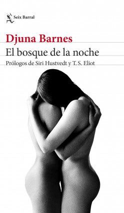 El bosque de la noche1