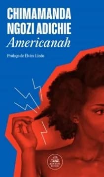 Americanah1