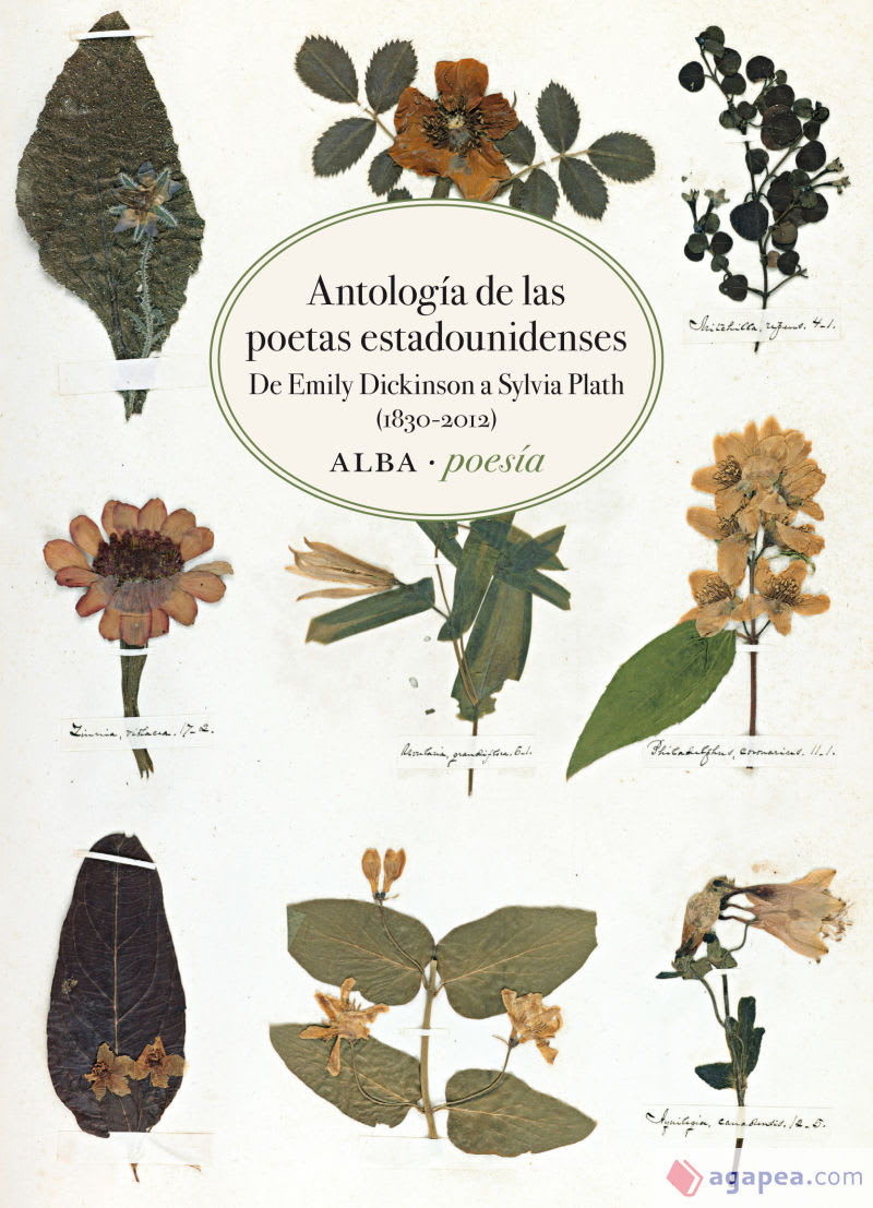 Antología de las poetas estadounidenses1