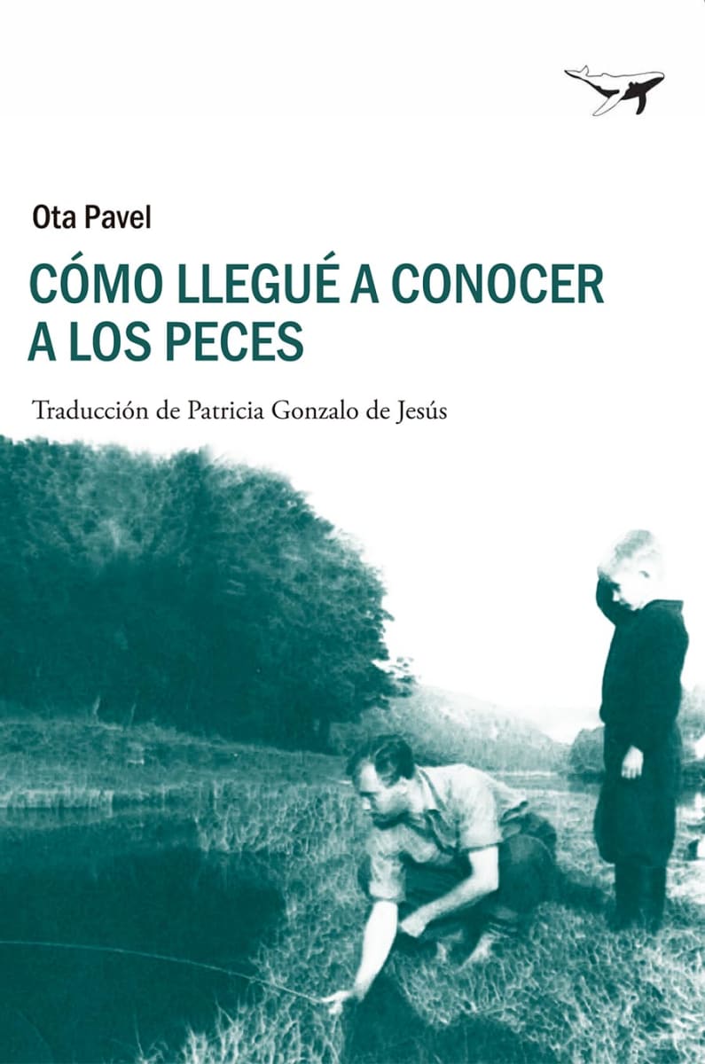 Cómo llegué a conocer a los peces2