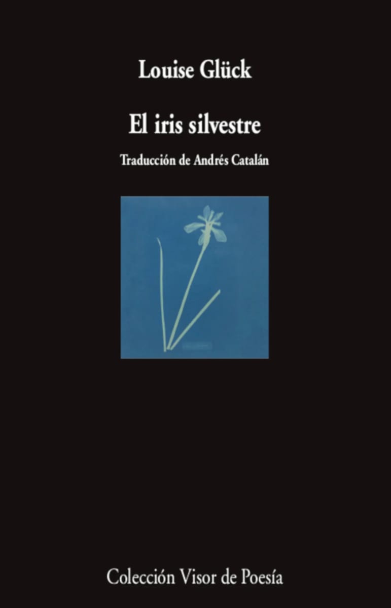 El iris silvestre2