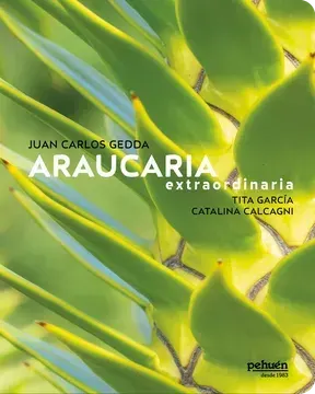 Araucaria extraordinaria1