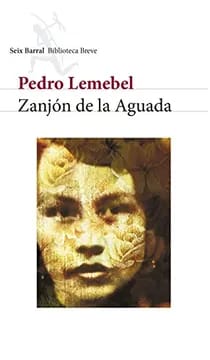 Zanjón de la Aguada3