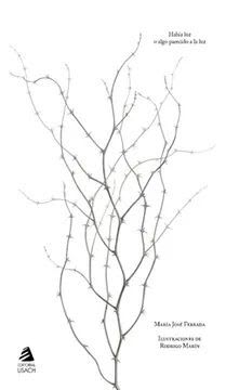 Había luz o algo parecido a la luz 1