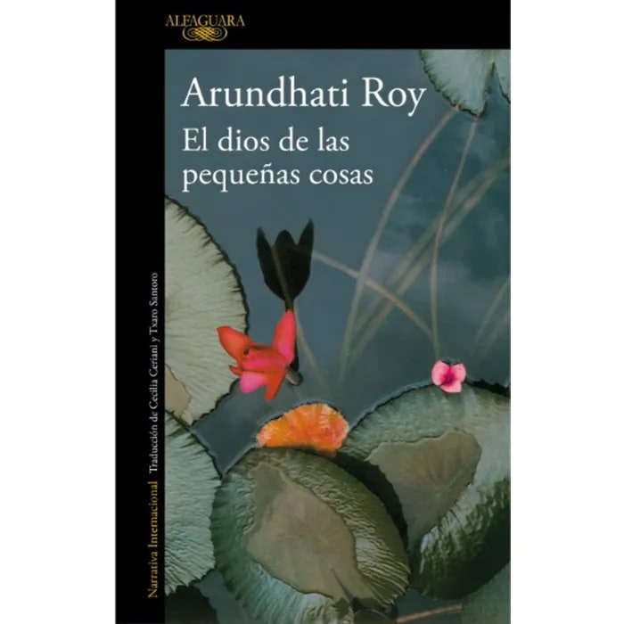 El dios de las pequeñas cosas1