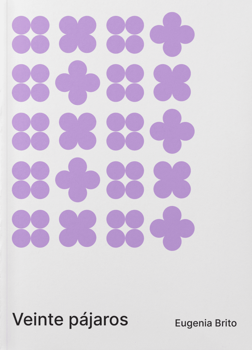 Veinte pájaros 2
