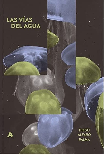 Las vías del agua1