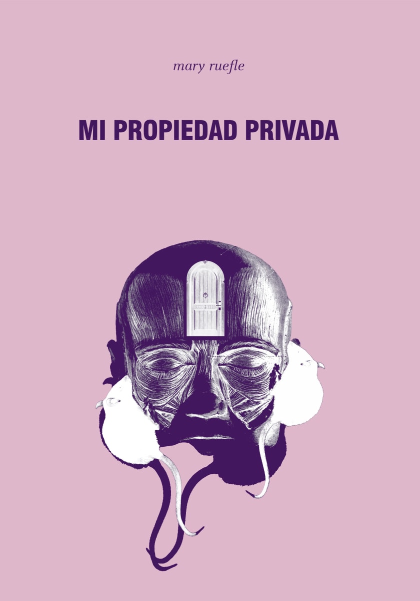 Mi propiedad privada1