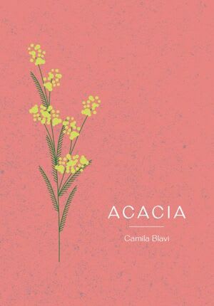 Acacia1