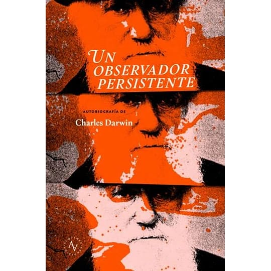 Un observador persistente1